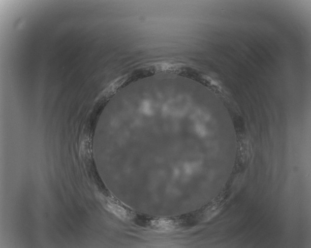 X0000080730419200612221258