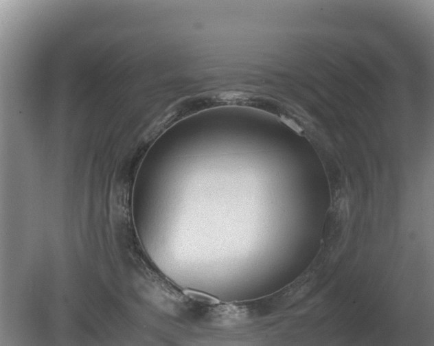 X0000080730421200612221258