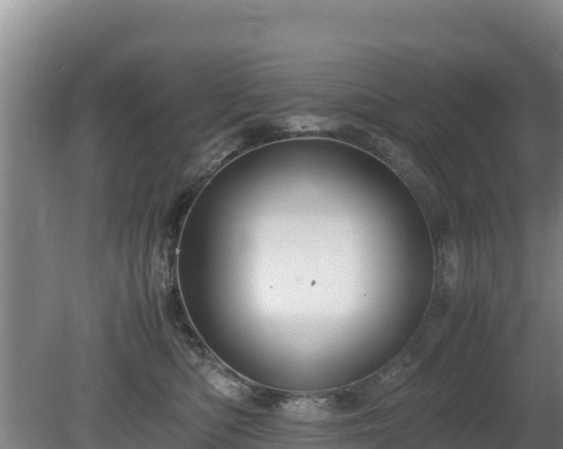 X0000080730422200612221258