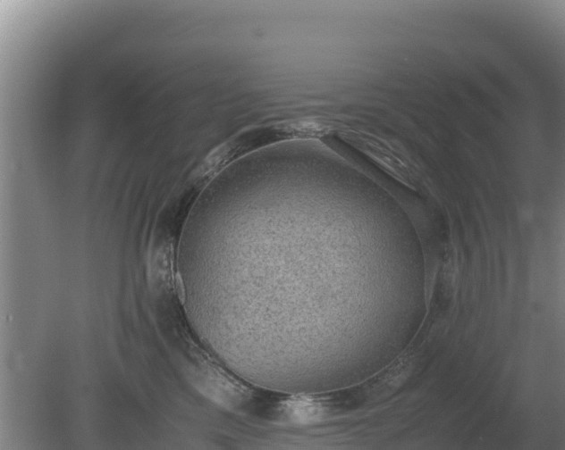 X0000080730425200612221258