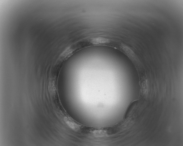 X0000080730426200612221258