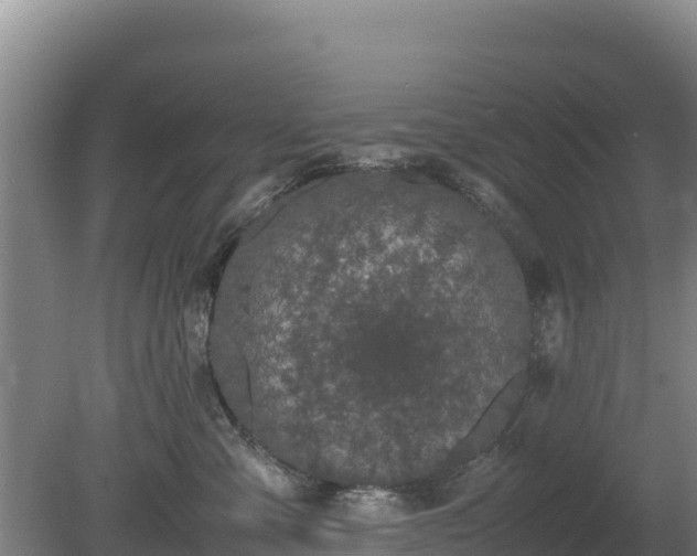 X0000080730427200612221258