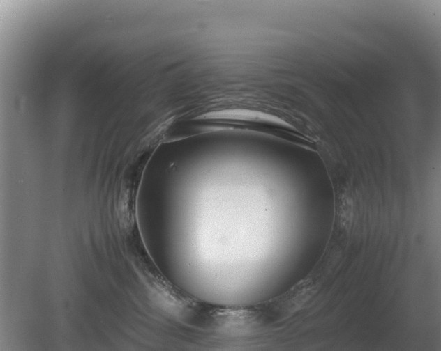 X0000080730428200612221258