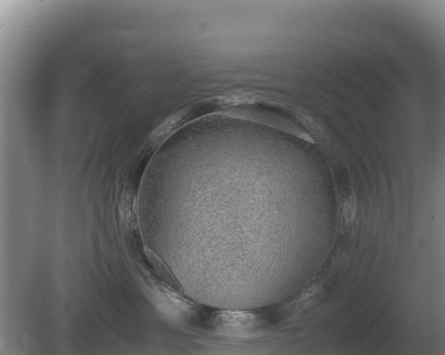 X0000080730429200612221258