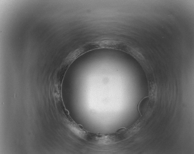 X0000080730430200612221258