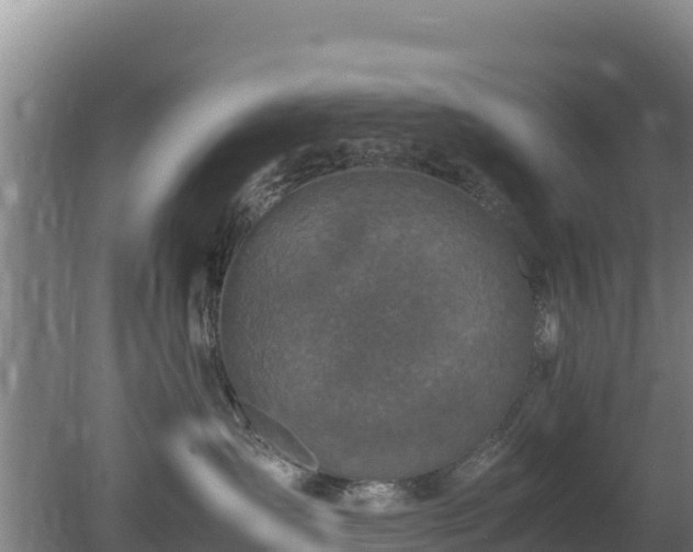 X0000080730431200612221258