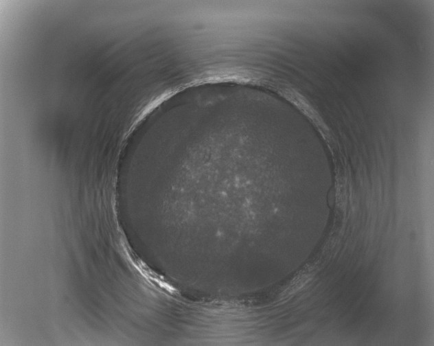 X0000080730434200612221257