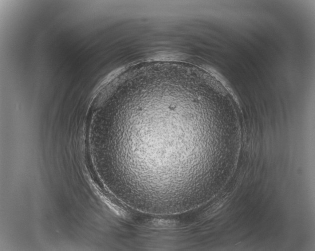 X0000080730437200612221257