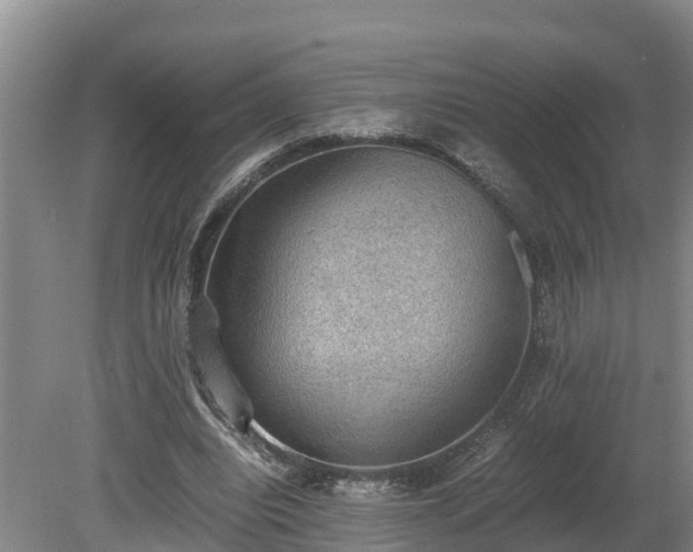 X0000080730440200612221257