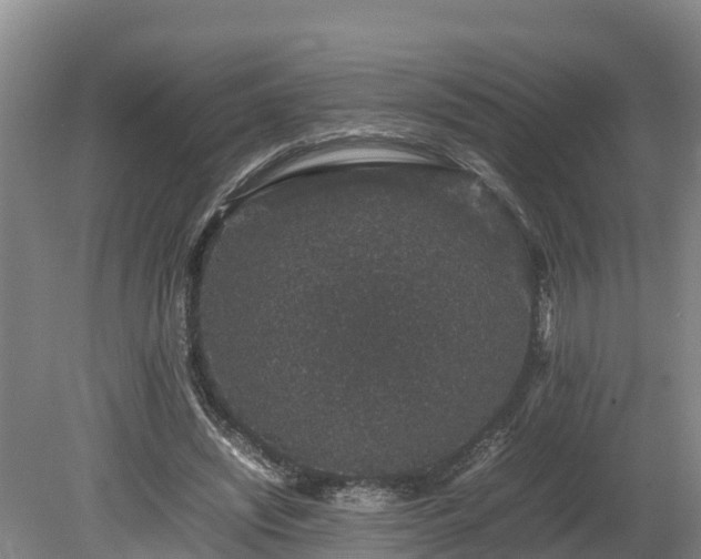 X0000080730444200612221257