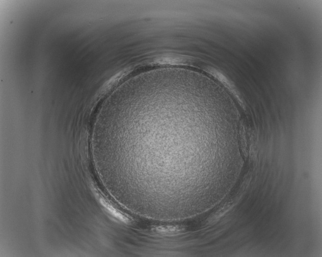 X0000080730445200612221257