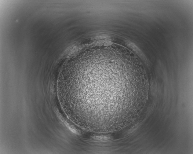 X0000080730449200612221257