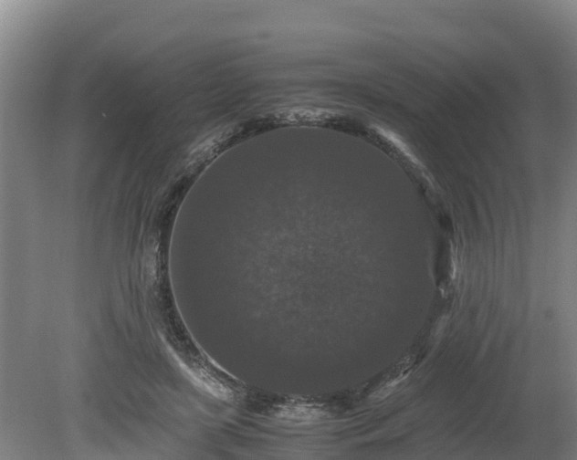 X0000080730451200612221257