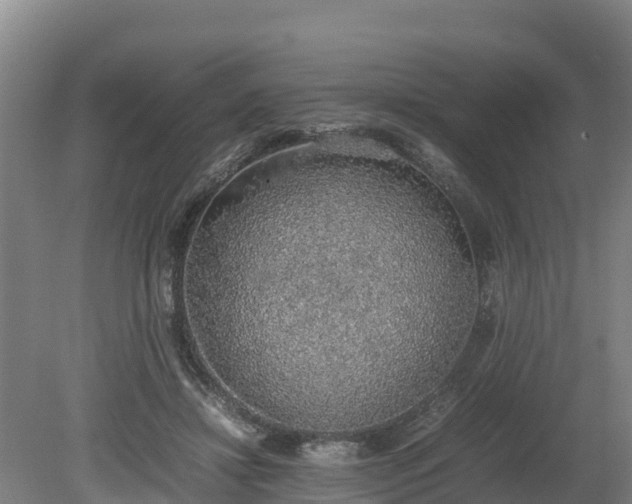 X0000080730452200612221257