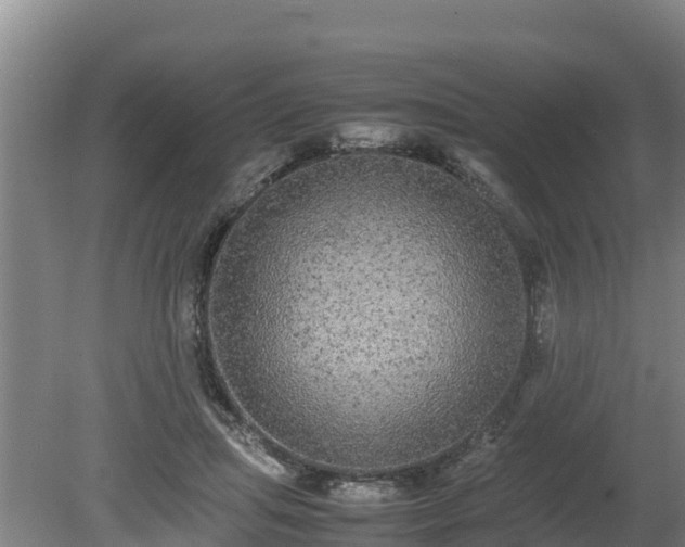 X0000080730455200612221257