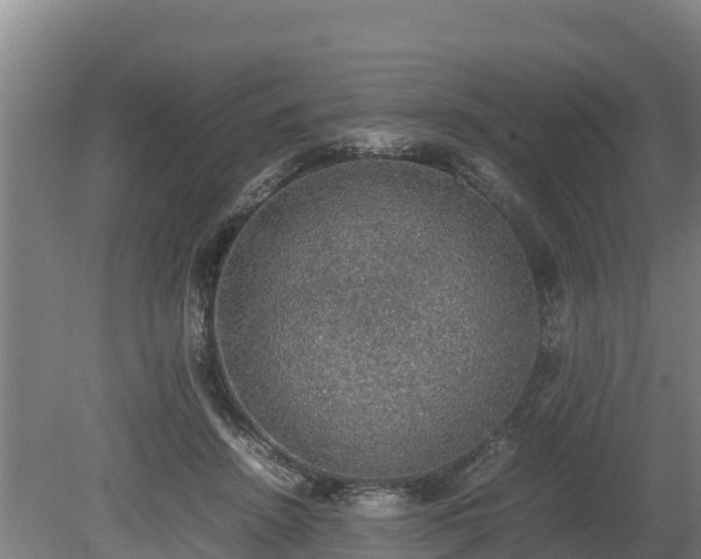 X0000080730456200612221257