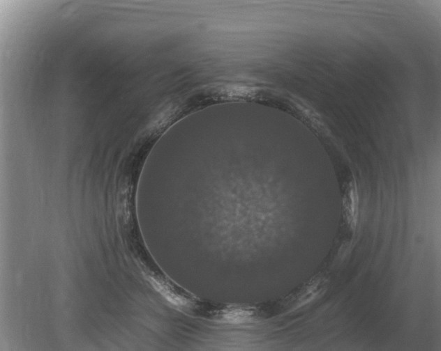 X0000080730462200612221257