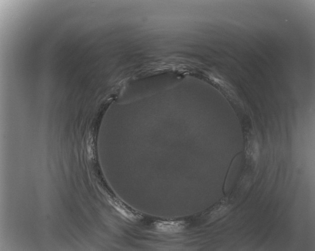 X0000080730465200612221257