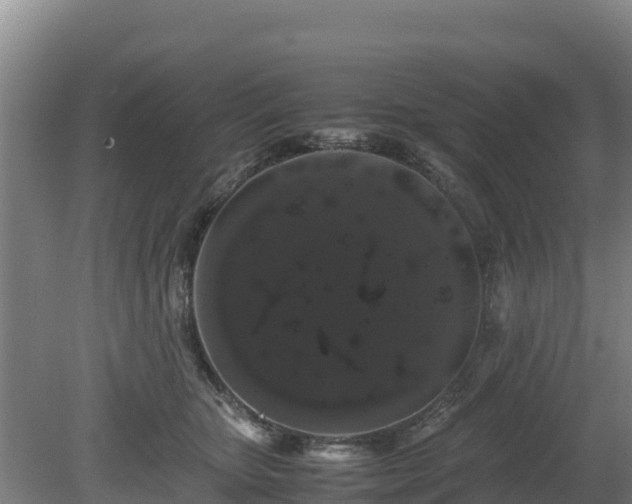 X0000080730467200612221257