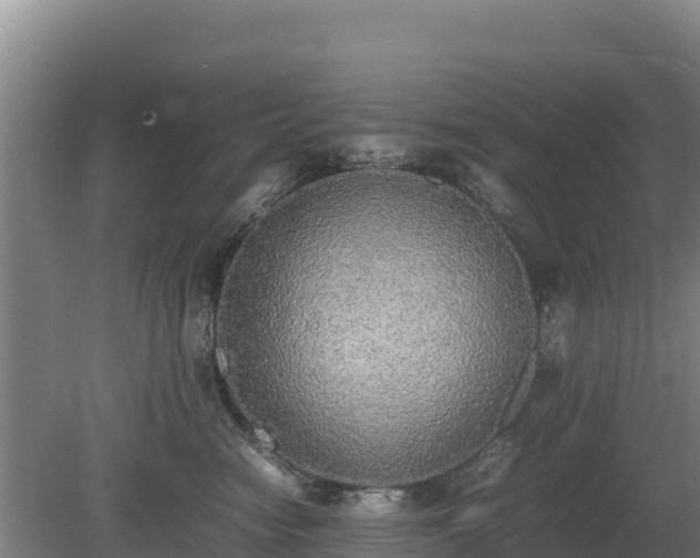 X0000080730474200612221257