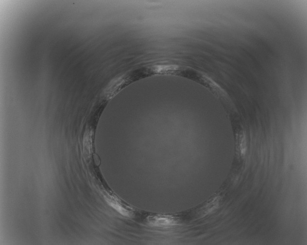 X0000080730475200612221257