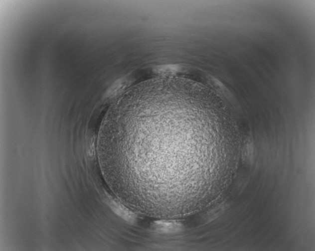 X0000080730477200612221257