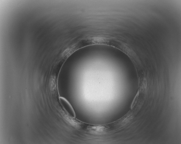 X0000080730478200612221257