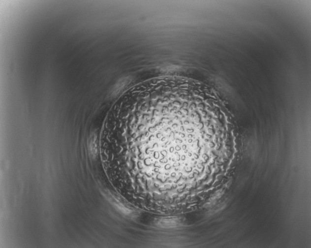 X0000080730479200612221257