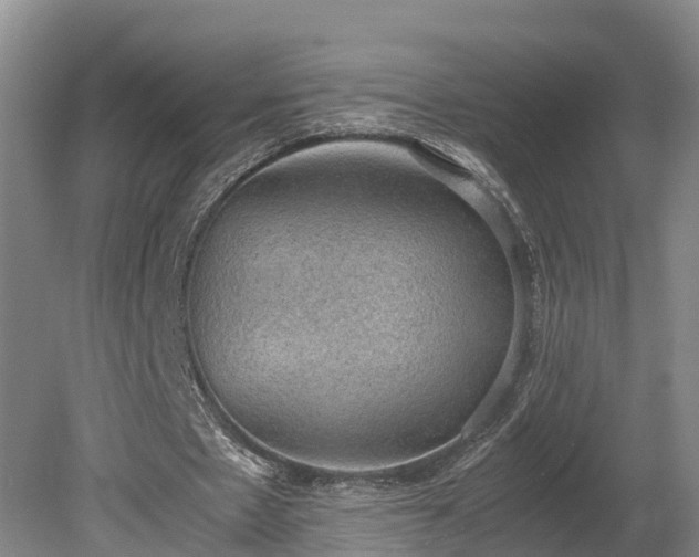 X0000080730481200612221257