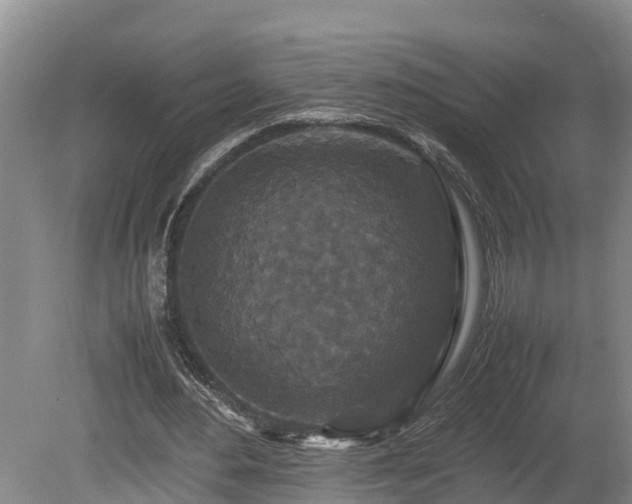 X0000080730484200612221257