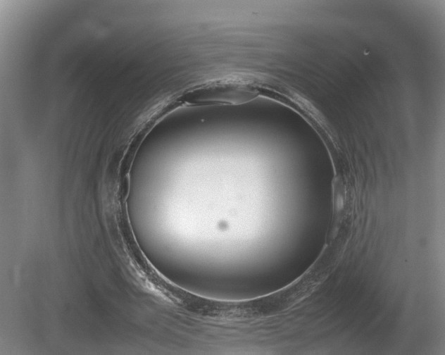 X0000080730485200612221257