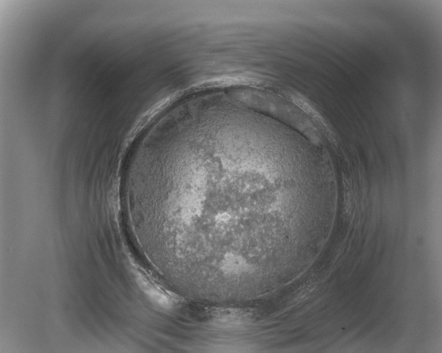 X0000080730486200612221257