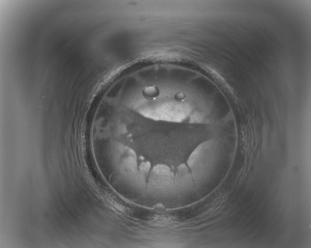 X0000080730487200612221257