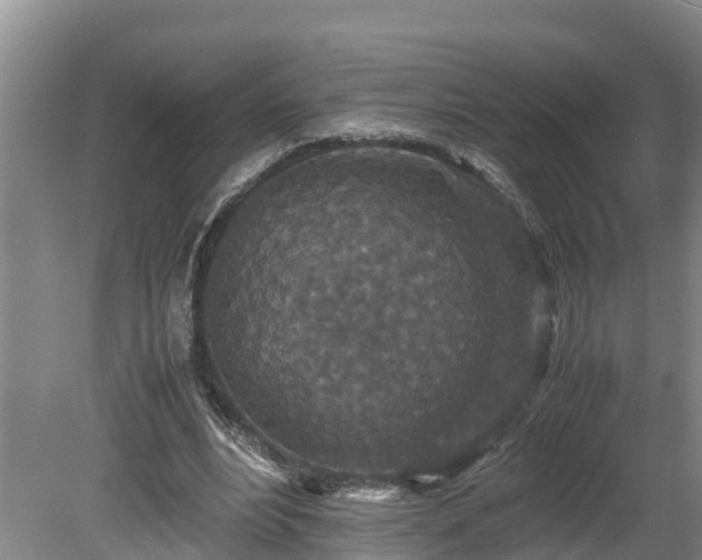 X0000080730488200612221257