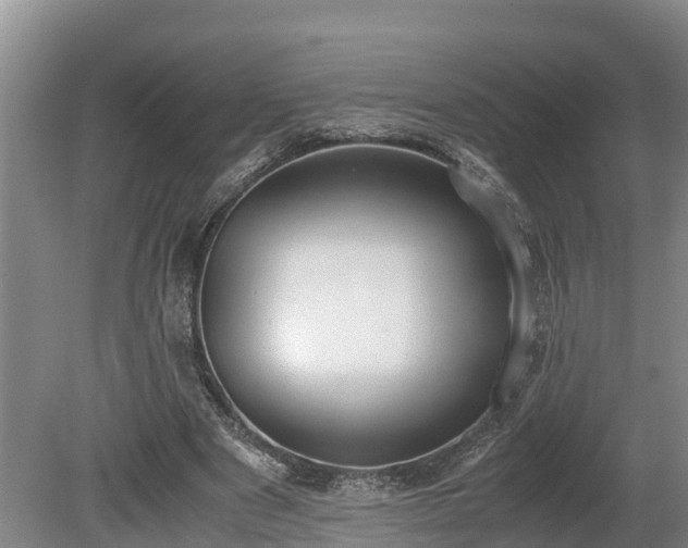 X0000080730489200612221257