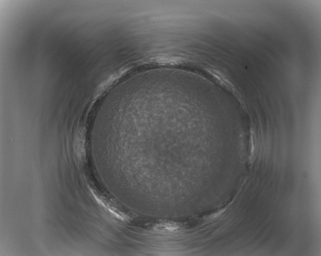 X0000080730492200612221257