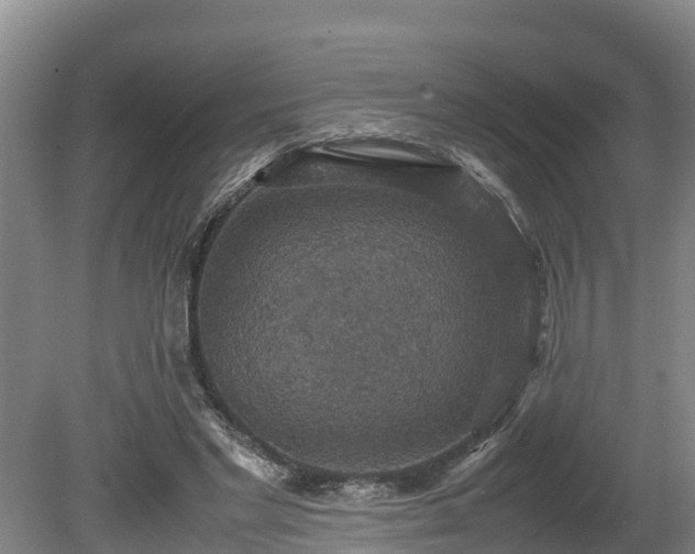 X0000080730493200612221256