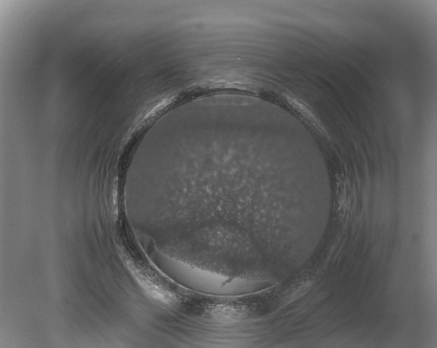 X0000080730494200612221256