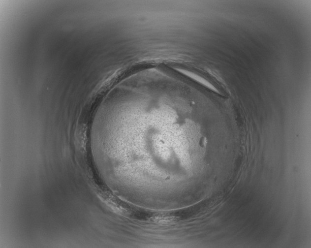 X0000080730495200612221256