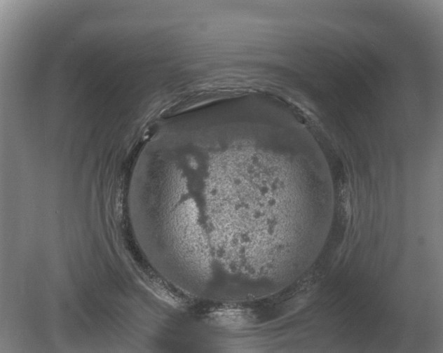 X0000080730499200612221256