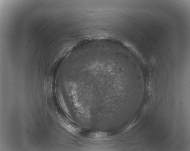 X0000080730501200612221256