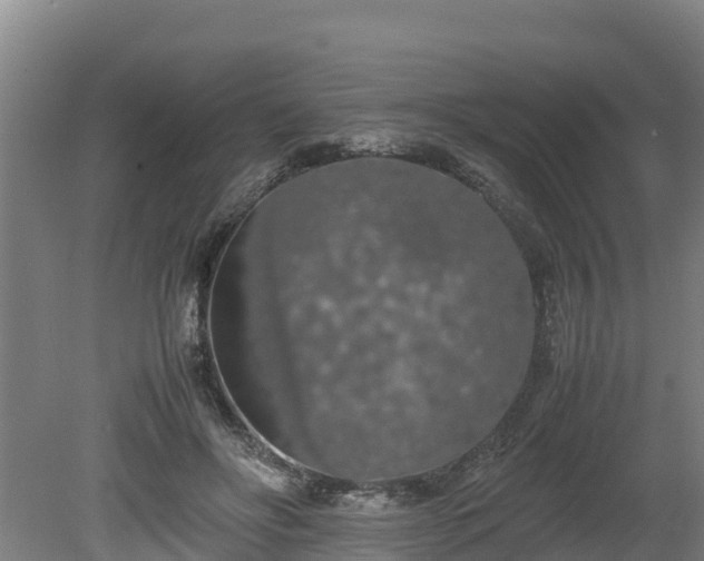 X0000080730502200612221256