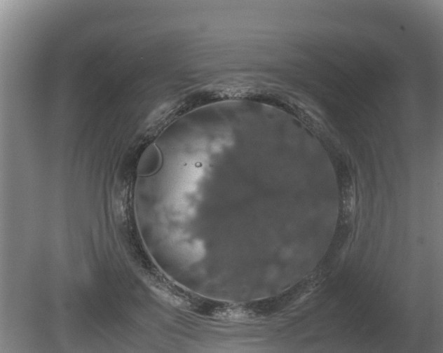 X0000080730503200612221256