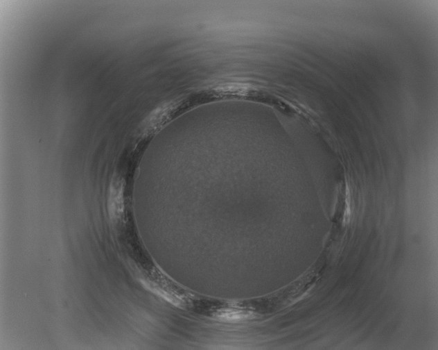 X0000080730504200612221256