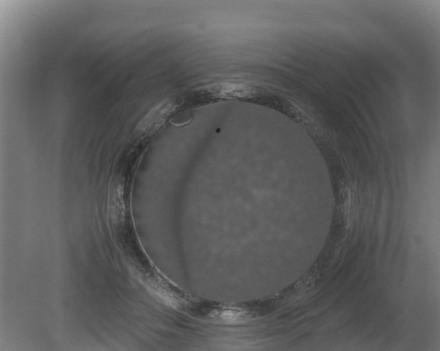 X0000080730506200612221256