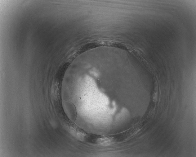 X0000080730511200612221256