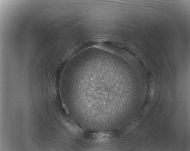 X0000080730512200612221256