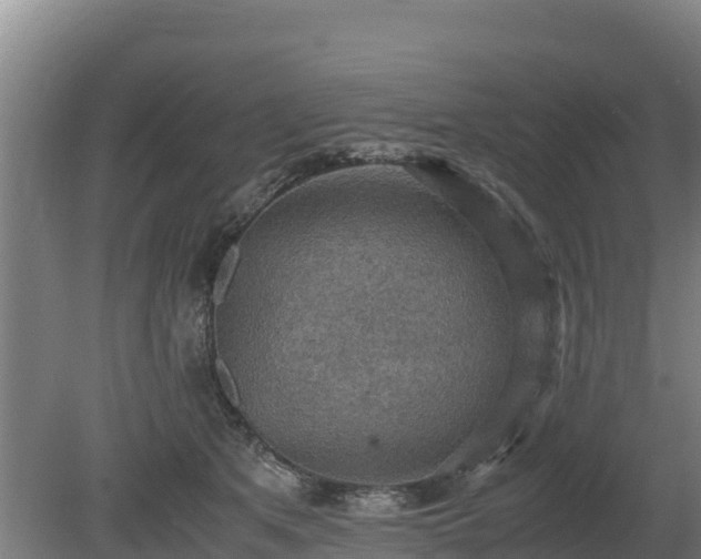 X0000080730513200612221256