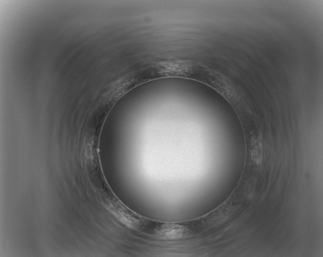 X0000080730514200612221256