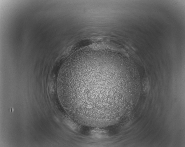 X0000080730515200612221256